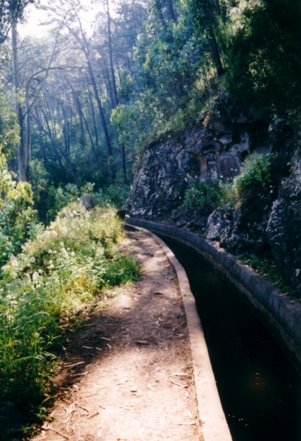 Levada do Norte